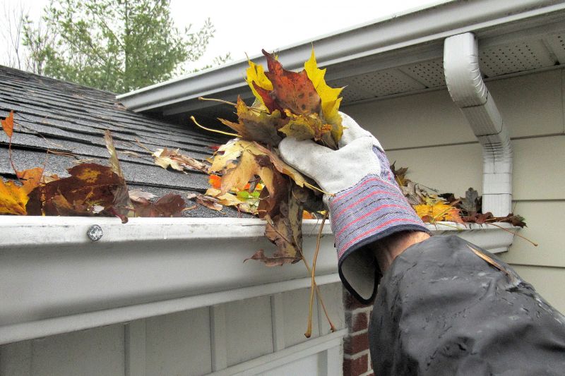 Gutter Cleaning in Progress
