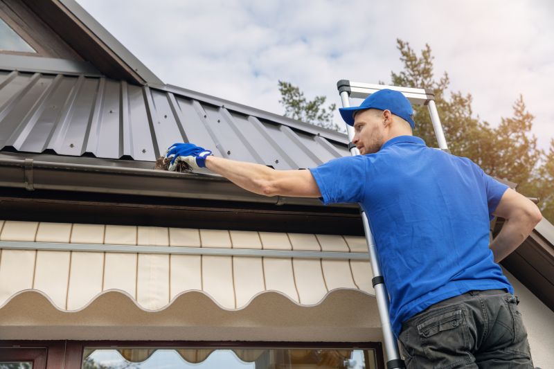 Gutter Service in Sidney